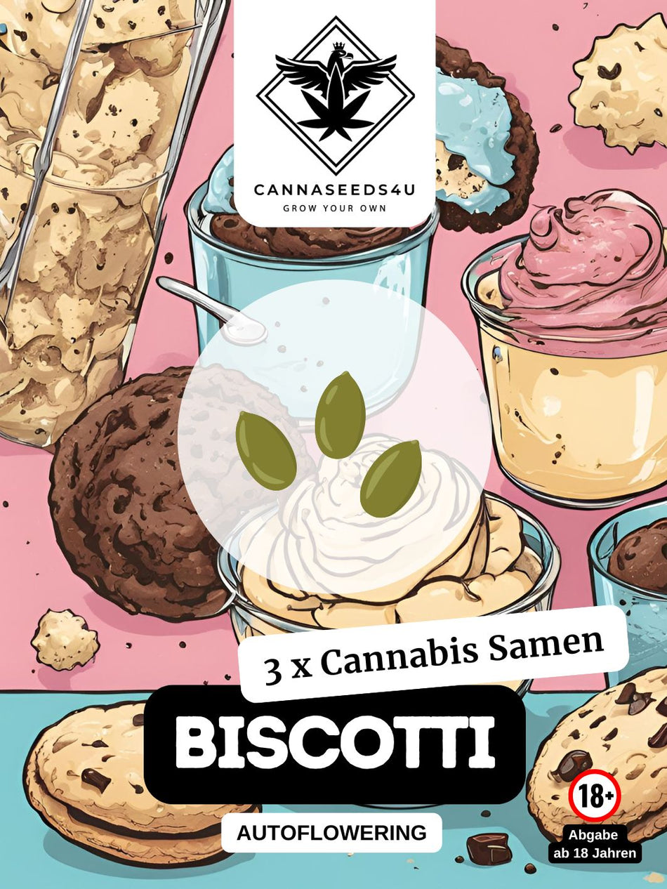 C4U Cannabis Seeds | Biscotti