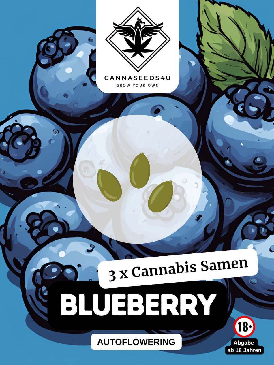 C4U cannabis seeds | Blueberry