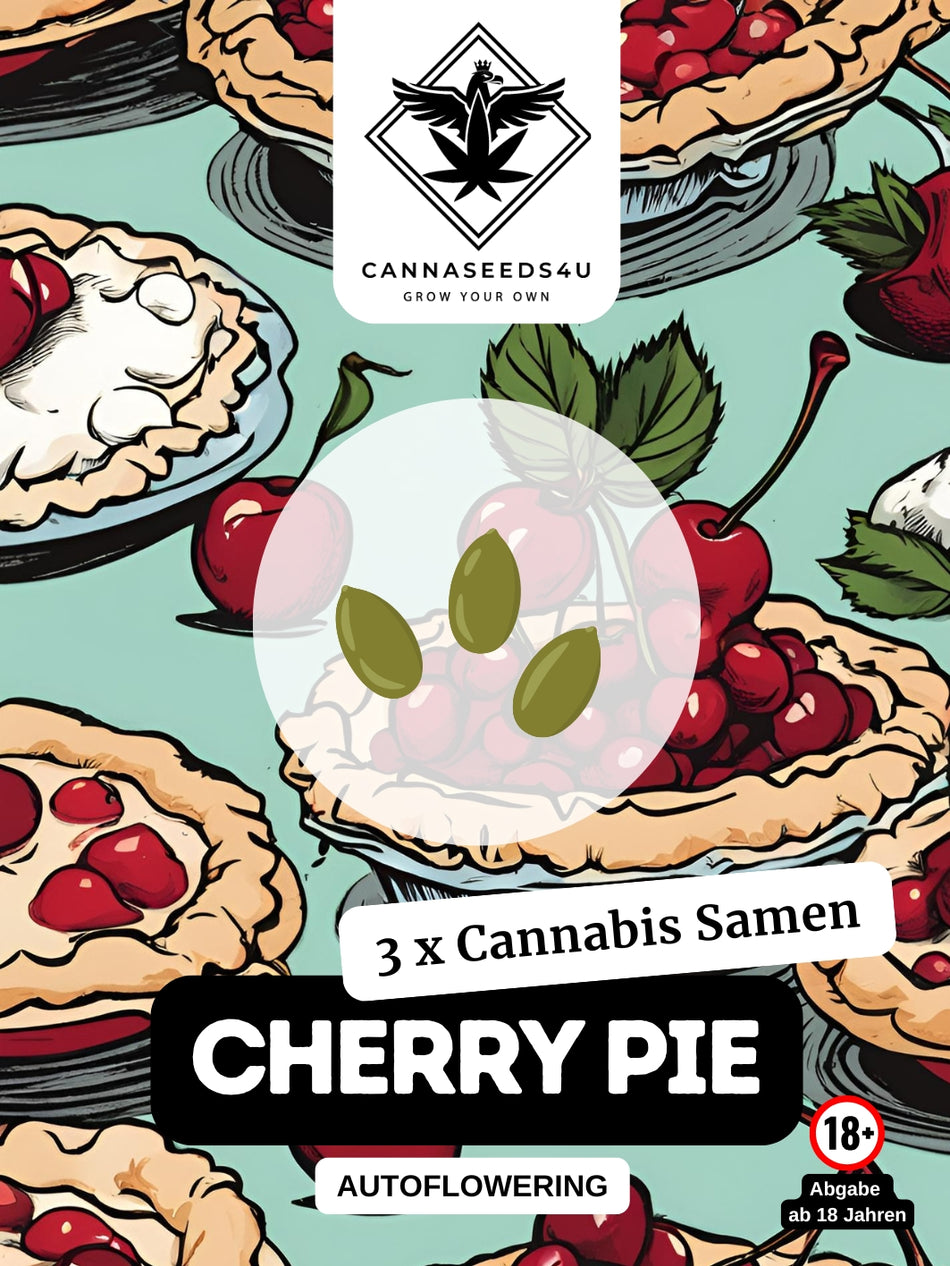 C4U cannabis seeds | Cherry pie