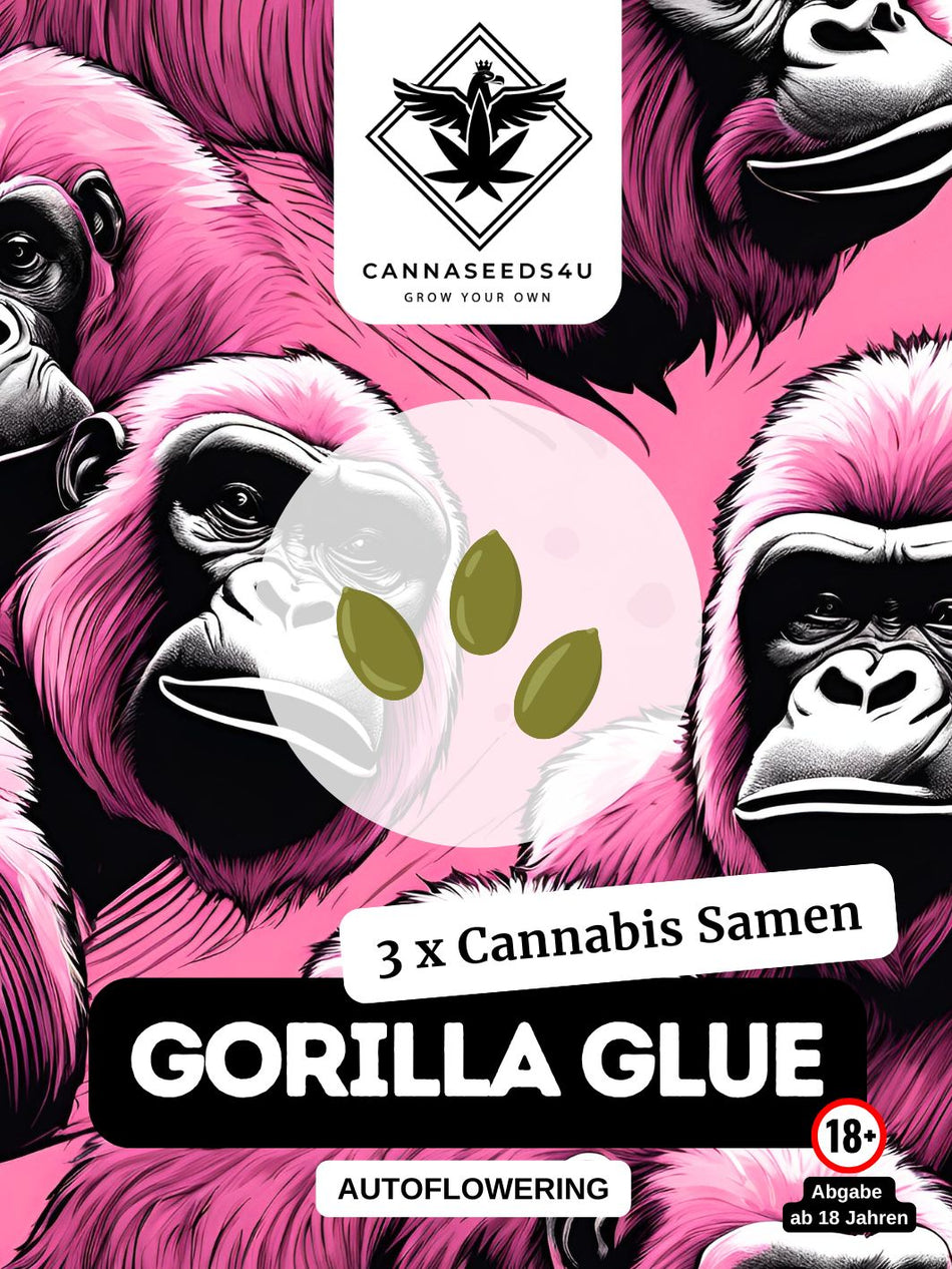 C4U cannabis seeds | Gorilla Glue