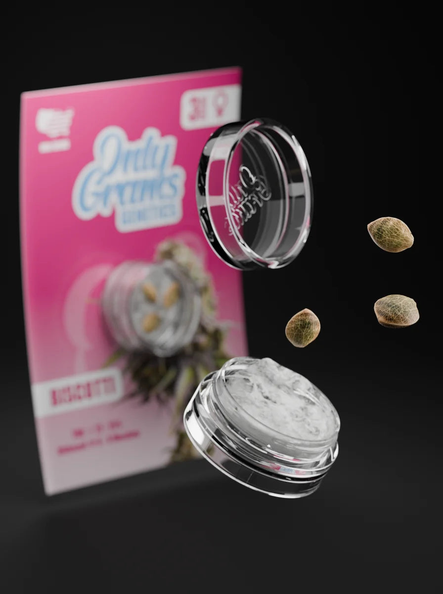 OnlyGrams Genetics Cannabis Samen Feminized Biscotti Großhandel