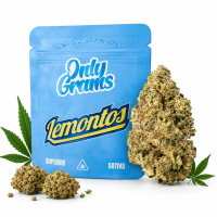 Only Grams Blüten | 40% Superior Blend | Lemontos 1g