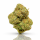 Tequila Sunrise 1g | 0.2%
