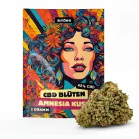 avibes® CBD Blüten | 45% CBD | Amnesia Kush 1g