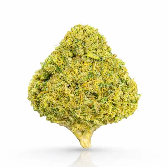 Amnesia Kush CBD Blüten | < 0.2% THC