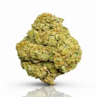 Tropical Fruit CBD Blüten | < 0.2% THC