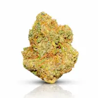 Gary Pyton CBD Blüten | < 0.2% THC
