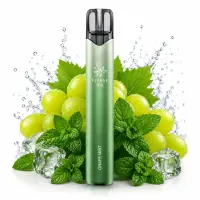Elfbar 800 | Grape Mint Nikotinfrei