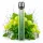 Elfbar 800 | Grape Mint Nikotinfrei