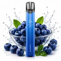 Elfbar 800 | Blueberry Nikotinfrei