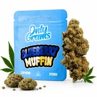 Only Grams Blüten | 40% Superior Blend | Blueberry...