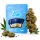 Only Grams Blüten | 40% Superior Blend | Blueberry Muffin 1g