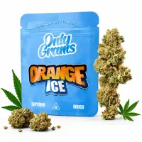 Only Grams Blüten | 40% Superior Blend | Orange Ice 1g