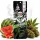 Sheesh BERLIN Limited Edition | 98% Superior Vape | Kotti Crush 1ml