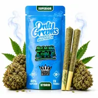 OnlyGrams® | 40% Superior Pre-Rolls (2 Stk.) | Sour...
