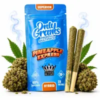 OnlyGrams® | 40% Superior Pre-Rolls (2 Stk.) |...