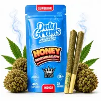 OnlyGrams® | 40% Superior Pre-Rolls (2 Stk.) | Honey...