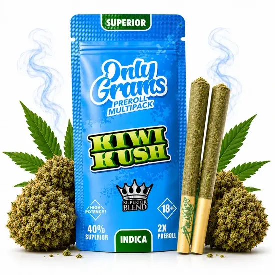 OnlyGrams® | 40% Superior Pre-Rolls (2 Stk.) | Kiwi Kush 3g