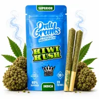 OnlyGrams® | 40% Superior Pre-Rolls (2 Stk.) | Kiwi...