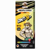 Sheesh DNT-9 Vape Pineapple Express 2ml