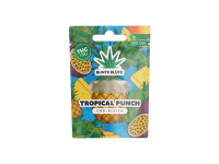 Bunte Blüte | 20% CBD Blüten | Tropical Punch 1g